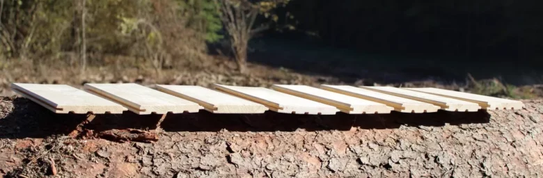 Nahá palubky ležící na kmeni stromu v exteriéru.