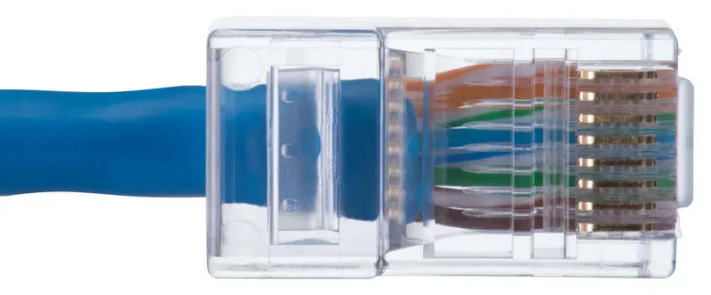 Modrý síťový kabel s průhledným konektorem RJ45 viditelnými vodiči.