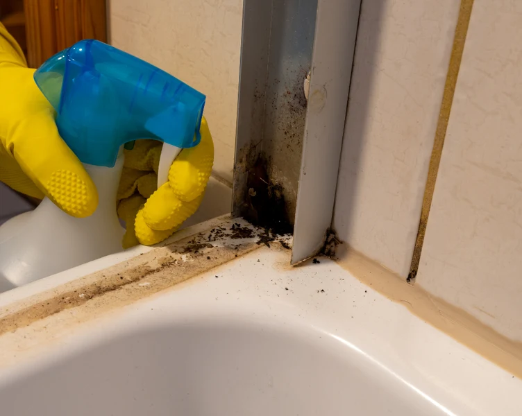 Ruční aplikace čističe na plíseň v rohu sprchového koutu.