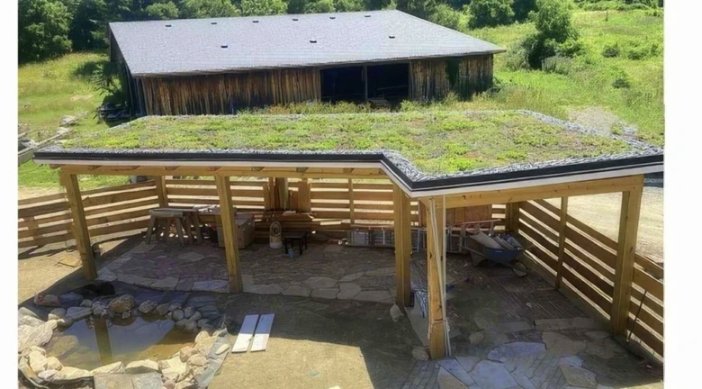 Dřevěná konstrukce s zelenou střechou pokrytou trávou.