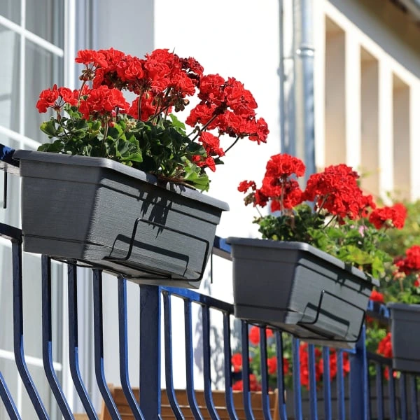 Červené květiny v záhonech na malém balkóně paneláku