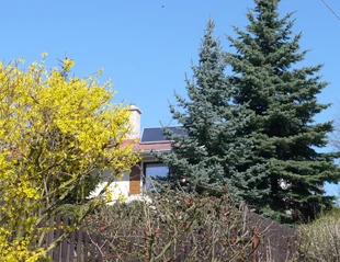 Dům s teplovzdušnými solárními panely mezi stromy