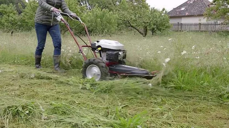 Člověk kosí trávu motorovou kosačkou na zahradě.