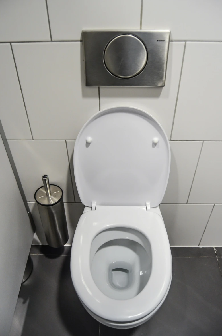 Bílá záchodová mísa s chromovým tlačítkem na splachování vedle držákem štětcu.