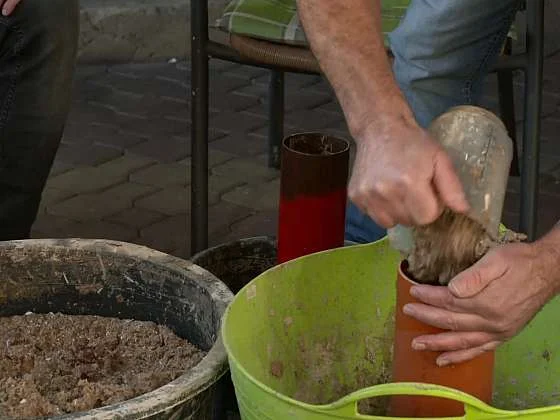 Ruční lisování dřevěných briket z pilin do formy doma.